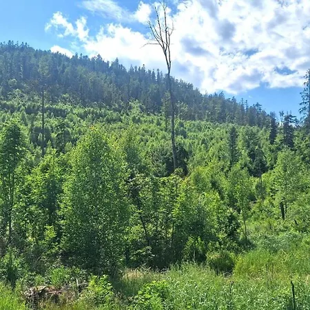 Holiday home Polovnicka Chata Stefana *