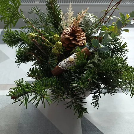 Polovnicka Stefana Prázdninový dům Mlynky