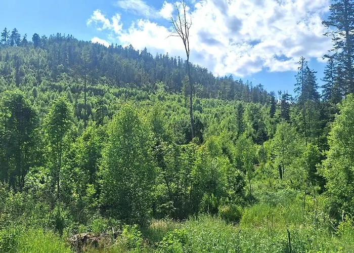 Дом отдыха Polovnicka Chata Stefana *