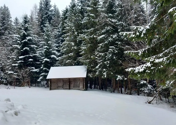Polovnicka Stefana بيت للعطل Mlynky